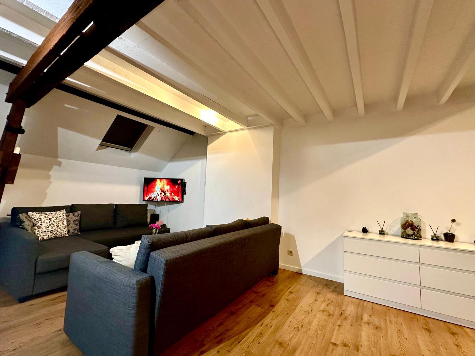 Luxury Suites Centrum By Rikas Hotels アントウェルペン エクステリア 写真