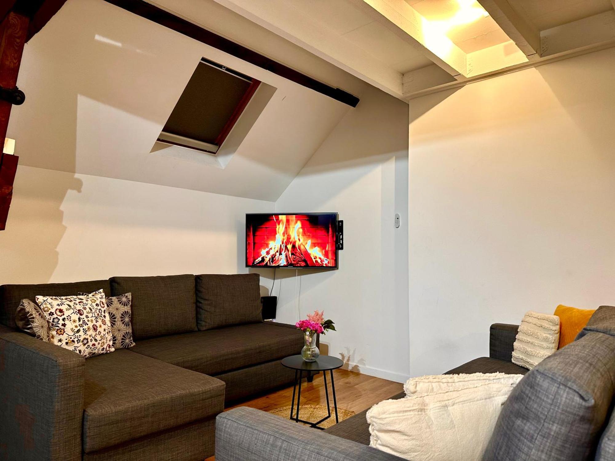 Luxury Suites Centrum By Rikas Hotels アントウェルペン エクステリア 写真