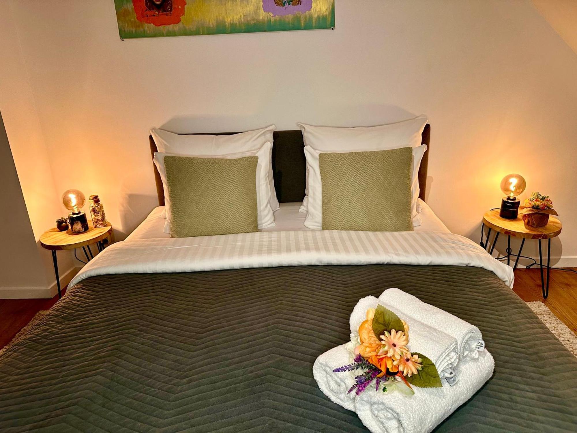 Luxury Suites Centrum By Rikas Hotels アントウェルペン エクステリア 写真